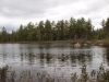 Deer Pond